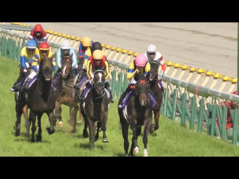 【NHKマイルC 2024】最後の直線 2歳チャンプ、ジャンタルマンタルが突き抜ける！武豊ボンドガールは直線早め先頭狙うもルメール・アスコリピチェーノから不利受け大失速17着