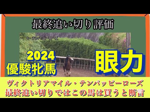 🎯 優駿牝馬2024 | オークス傾向と対策