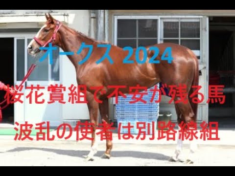 オークス 2024 昨年１５番人気激走！！距離延長でいい馬、危険な馬 ステレンボッシュに死角はあるか？