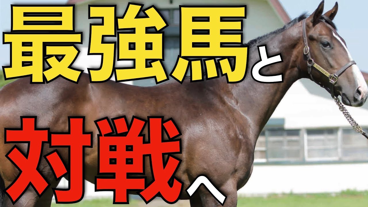 安田記念が熱い！香港の最強馬、日本競馬を席巻か？