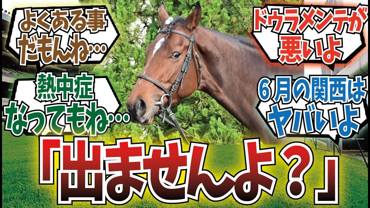 「宝塚記念さあ」に対するみんなの反応集