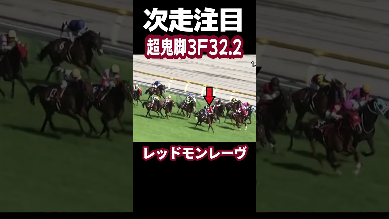 【京王杯スプリングカップ 】レッドモンレーヴ 最後方からの超鬼脚