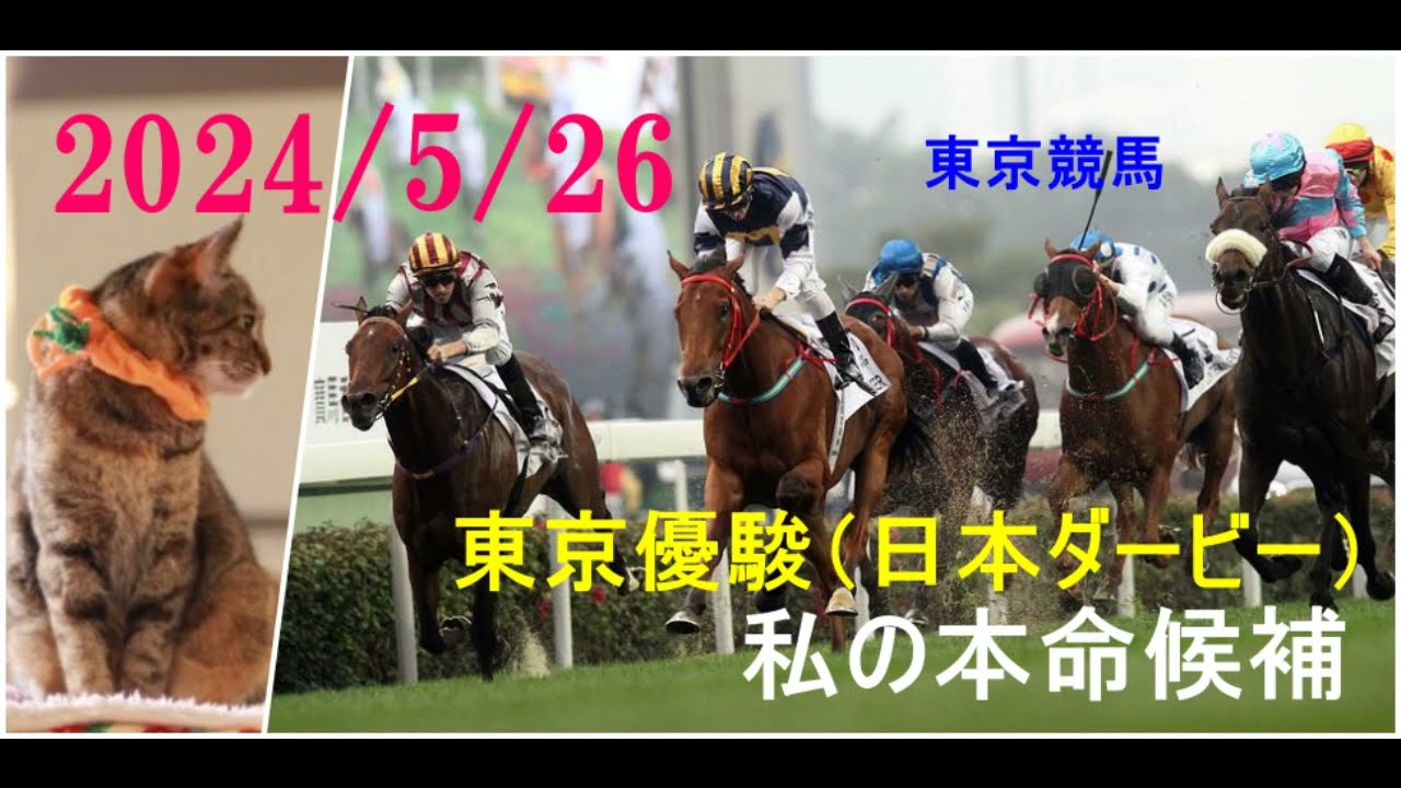 2024/5/26　東京競馬　日本ダービー（ＧⅠ）私の本命候補