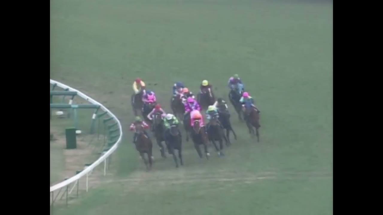 ヤマニンゼファー 1993年 第27回スプリンターズステークス(GI) (優勝馬：サクラバクシンオー)