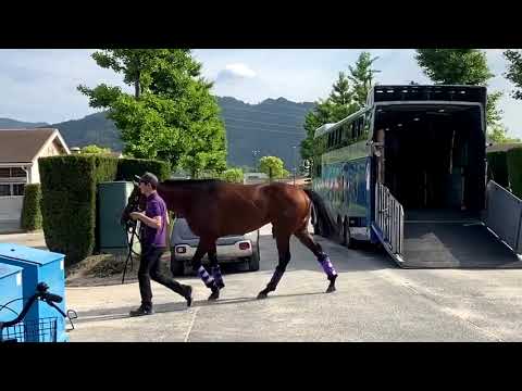 【競馬】#ドウデュース が #宝塚記念 へ向け帰厩、友道師「疲れもなく元気そう」