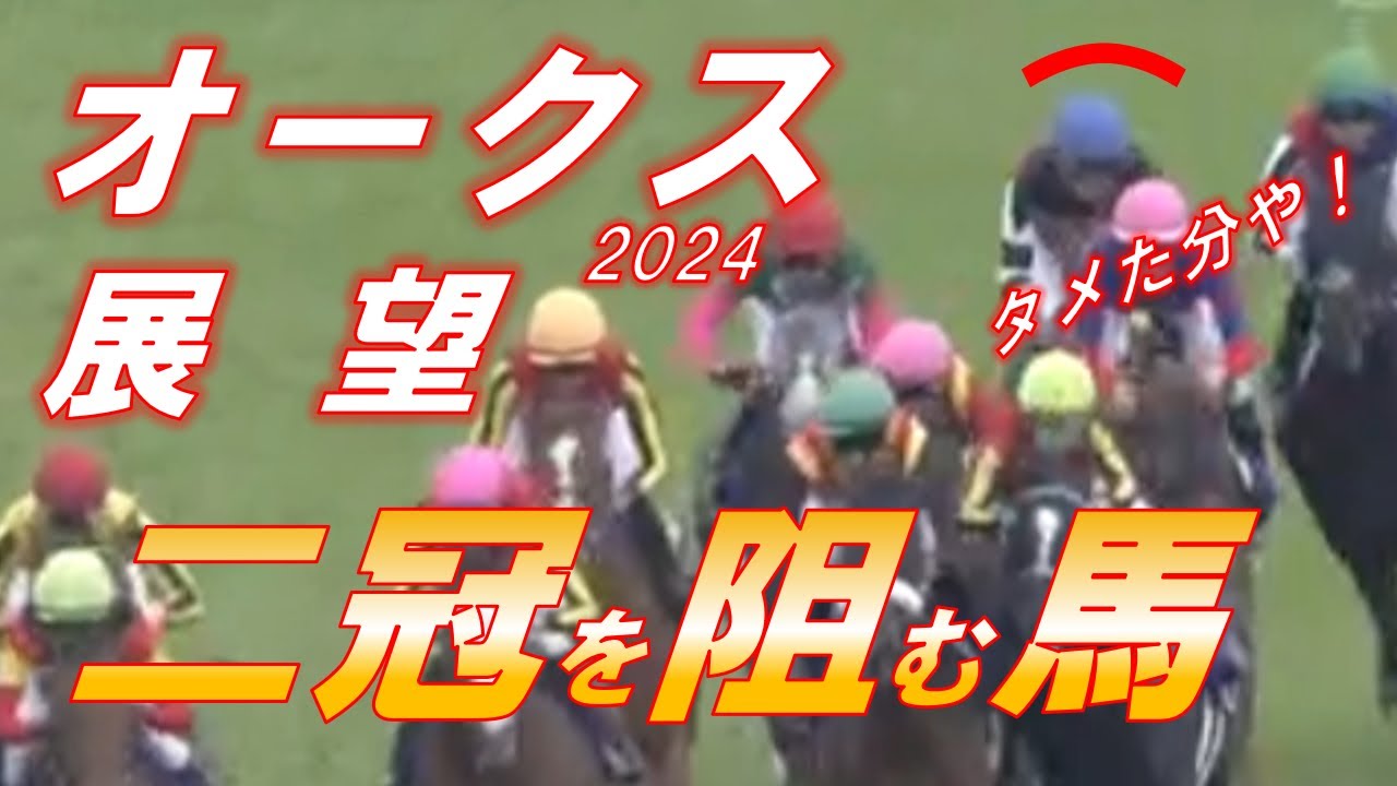 オークス2024　有力馬5頭‼　二冠阻止する馬は！？　穴馬にもチャンス有りと見る！