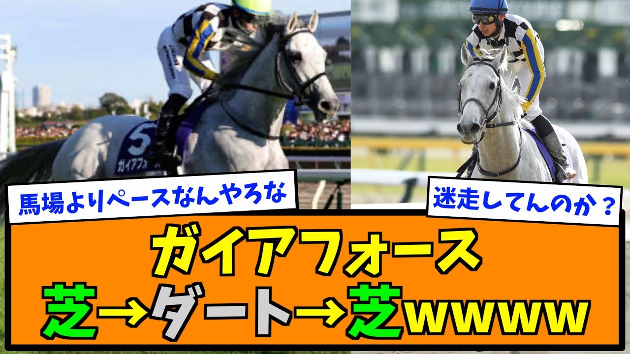 ガイアフォース芝→ダート→芝wwww