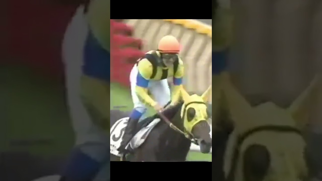 Gの名言 2003 日本ダービー