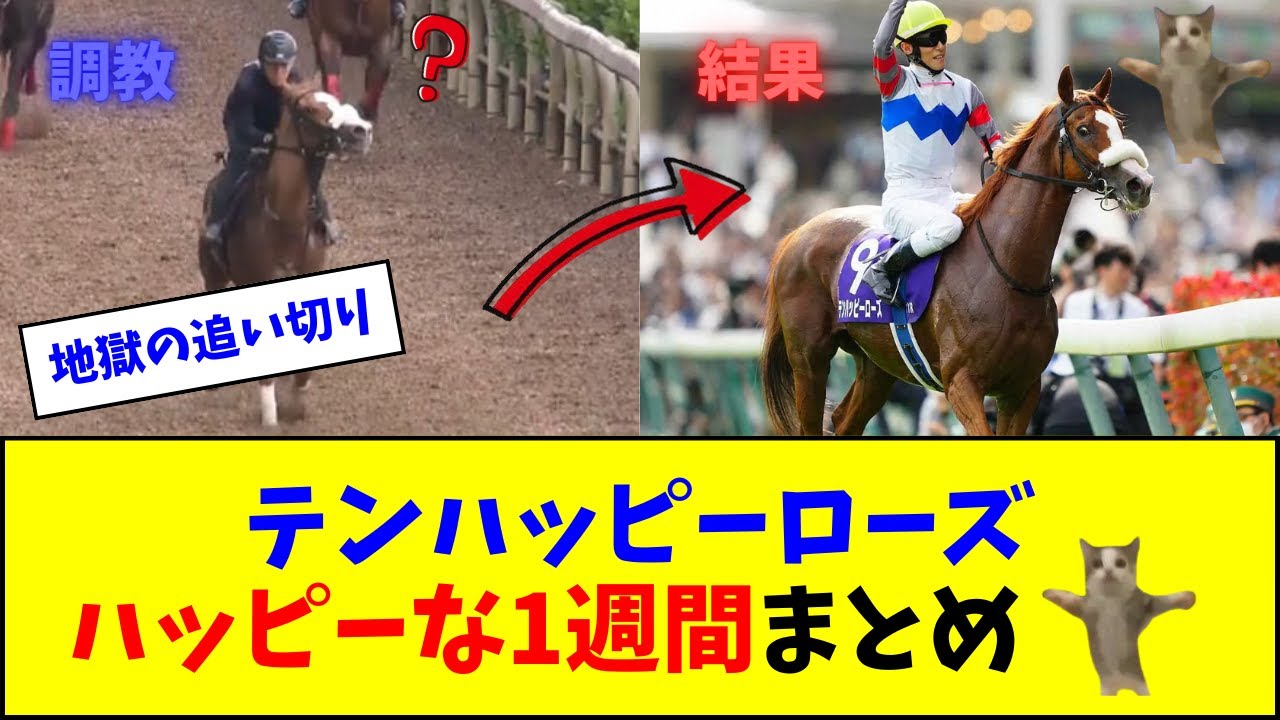 テンハッピーローズのハッピーなここ1週間をまとめてみた