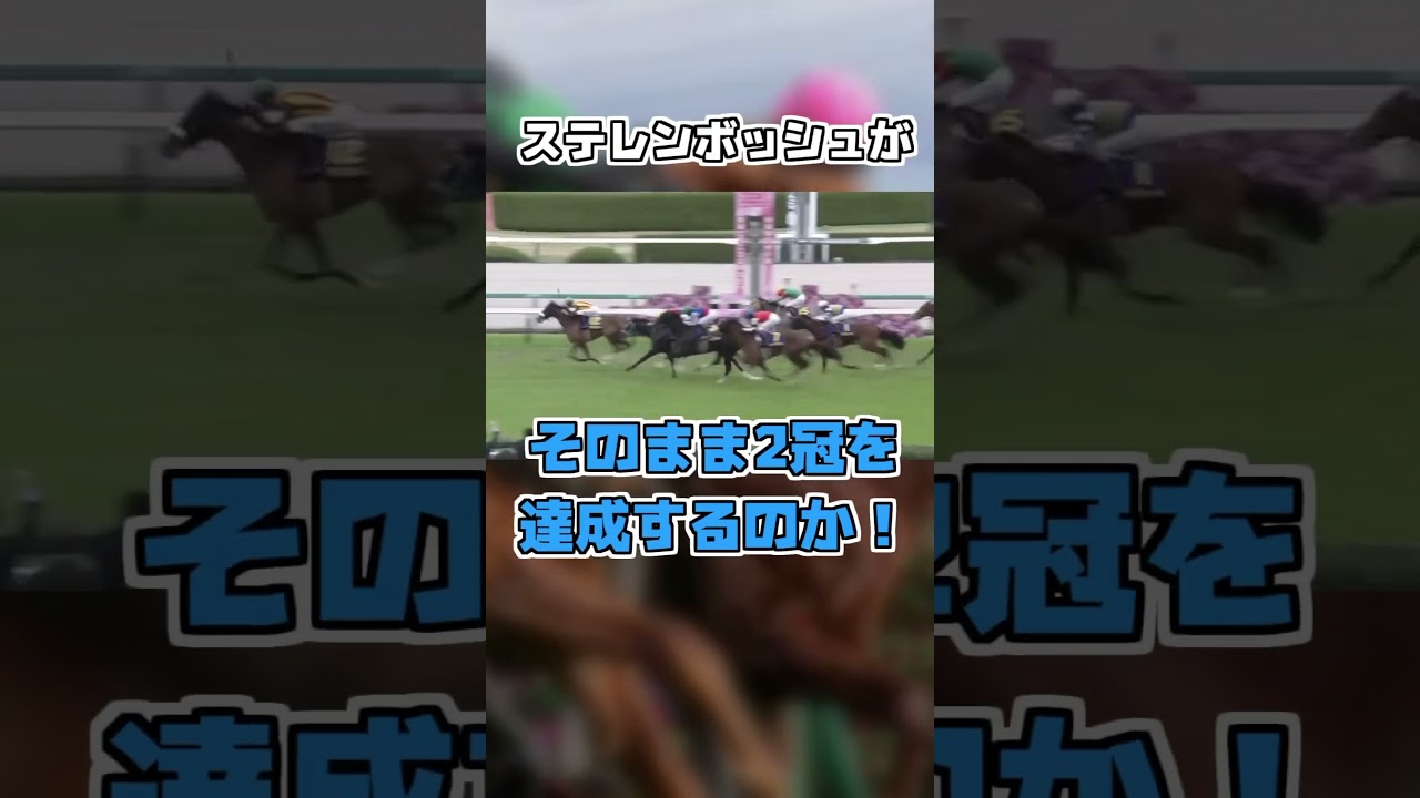 【優駿牝馬オークス2024】ステレンボッシュ2冠達成なるか！？3歳牝馬の頂点をかけた激闘が始まる！#オークス #優駿牝馬 #競馬 #ステレンボッシュ