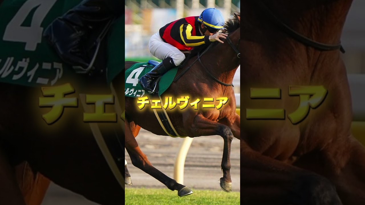 優駿牝馬オークス注目馬 #競馬＃オークス＃優駿牝馬＃ルメール＃武豊
