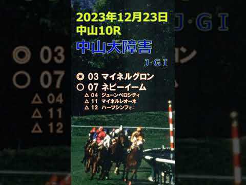 中山大障害予想（2023年12月23日中山10R）