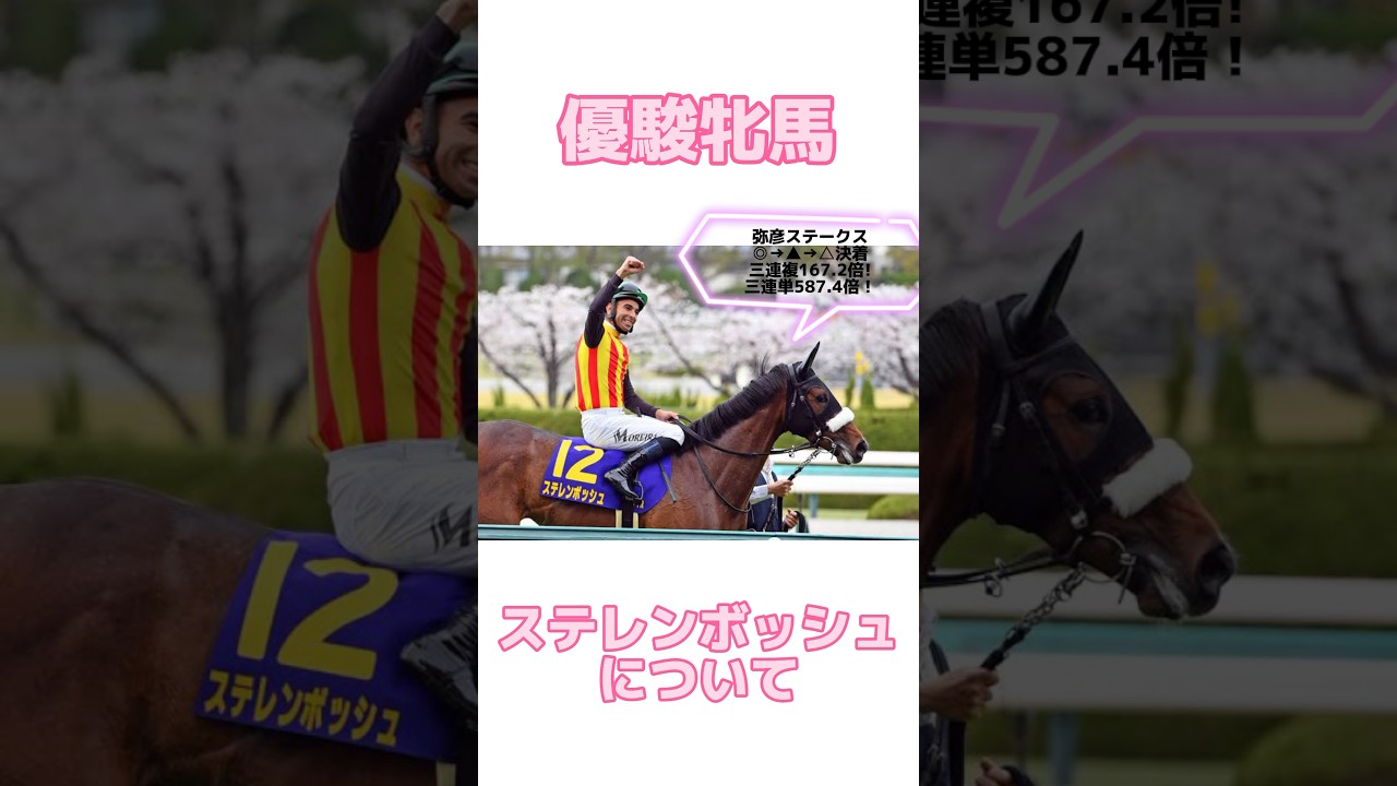 【優駿牝馬2024】ステレンボッシュについて #オークス #オークス2024 #優駿牝馬  #ステレンボッシュ #スウィープフィート #ライトバック #クイーンズウォーク #チェルヴィニア