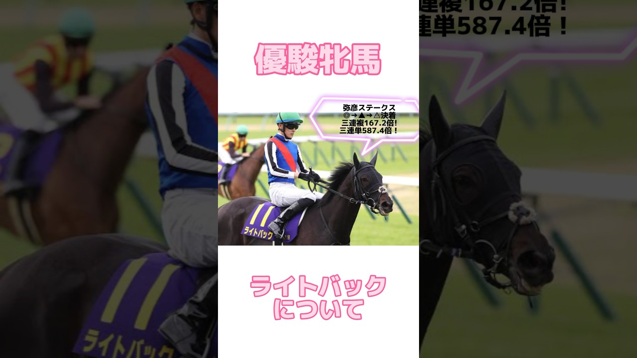 【優駿牝馬2024】ライトバックについて #オークス #オークス2024 #優駿牝馬  #ステレンボッシュ #スウィープフィート #ライトバック #クイーンズウォーク #チェルヴィニア