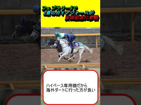 フェブラリーSで2着のガイアフォースが安田記念に参戦 #競馬予想 #ヴィクトリアマイル #オークス #日本ダービー #フェブラリーS #長岡禎仁 #西村淳也