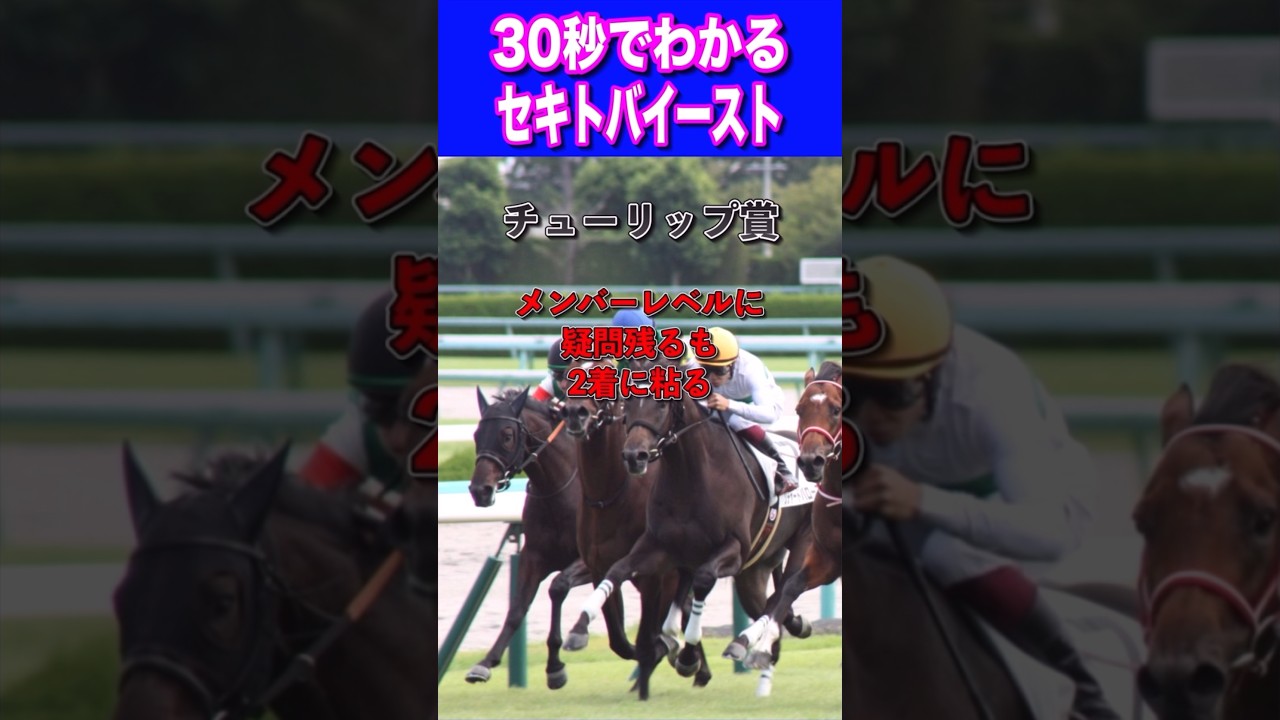 【桜花賞2024】30秒でわかるセキトバイースト