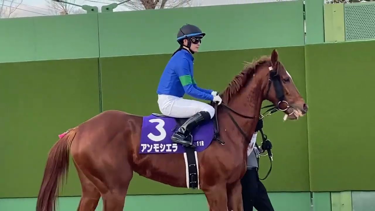 中山11レース ホープフルステークス(GI)馬場入場