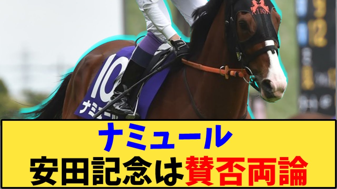【競馬】「ナミュール 安田記念は賛否両論」に対する反応【反応集】