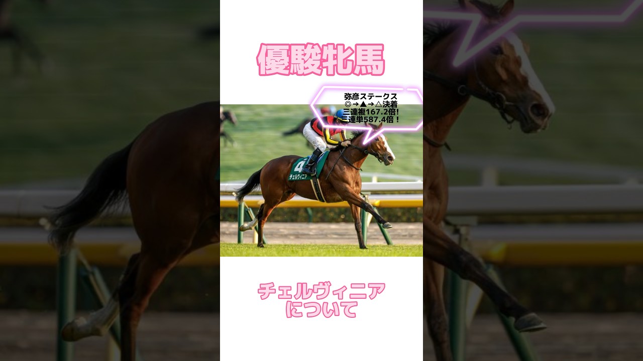 【優駿牝馬2024】チェルヴィニアについて #オークス #オークス2024 #優駿牝馬  #ステレンボッシュ #スウィープフィート #ライトバック #クイーンズウォーク #チェルヴィニア