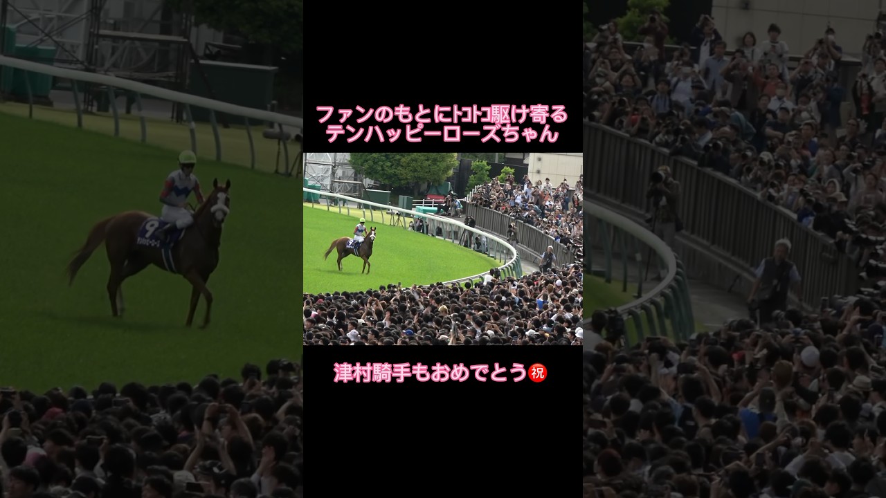 テンハッピーローズちゃんの可愛いファンサ【津村明秀】 #shorts #競馬 #ヴィクトリアマイル