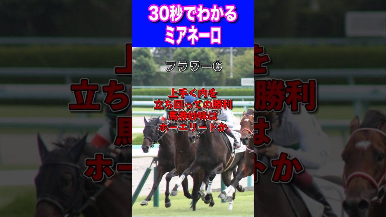 【オークス2024】30秒でわかるミアネーロ
