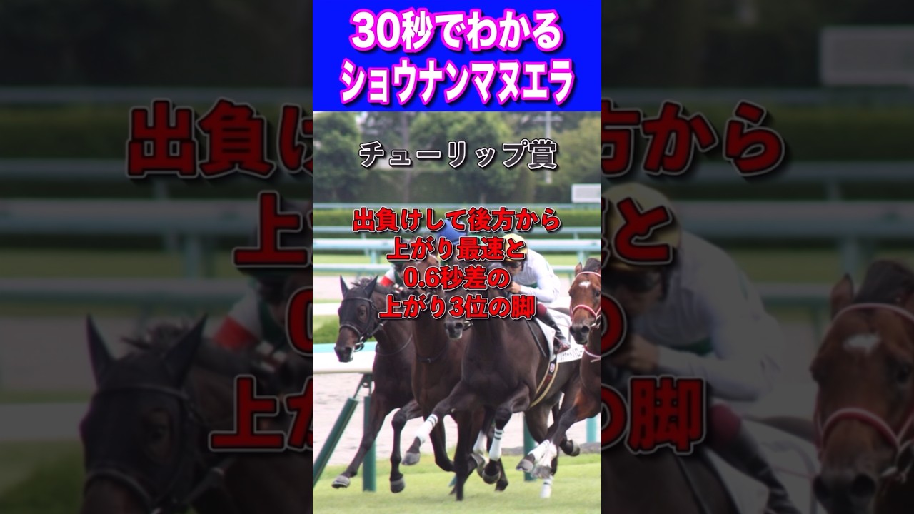 【桜花賞2024】30秒でわかるショウナンマヌエラ