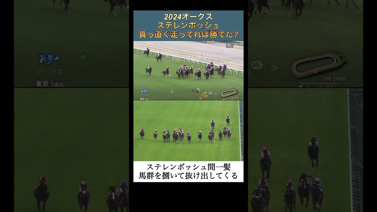 【競馬】オークスのラスト直線でステレンボッシュは真っ直ぐ走ってれば勝っていた？　#オークス   #ステレンボッシュ  #戸崎圭太