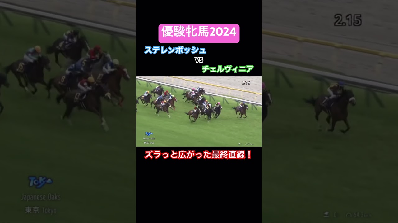 オークスの最終直線！牝馬たちの底力比べ！ #競馬 #オークス2024 #チェルヴィニア #ステレンボッシュ