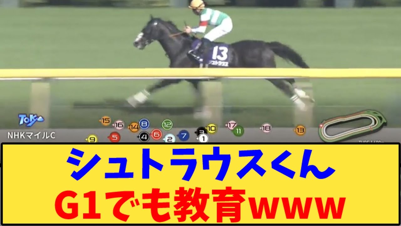 【競馬】｢シュトラウスくんG1でも教育www」に対する反応【反応集】