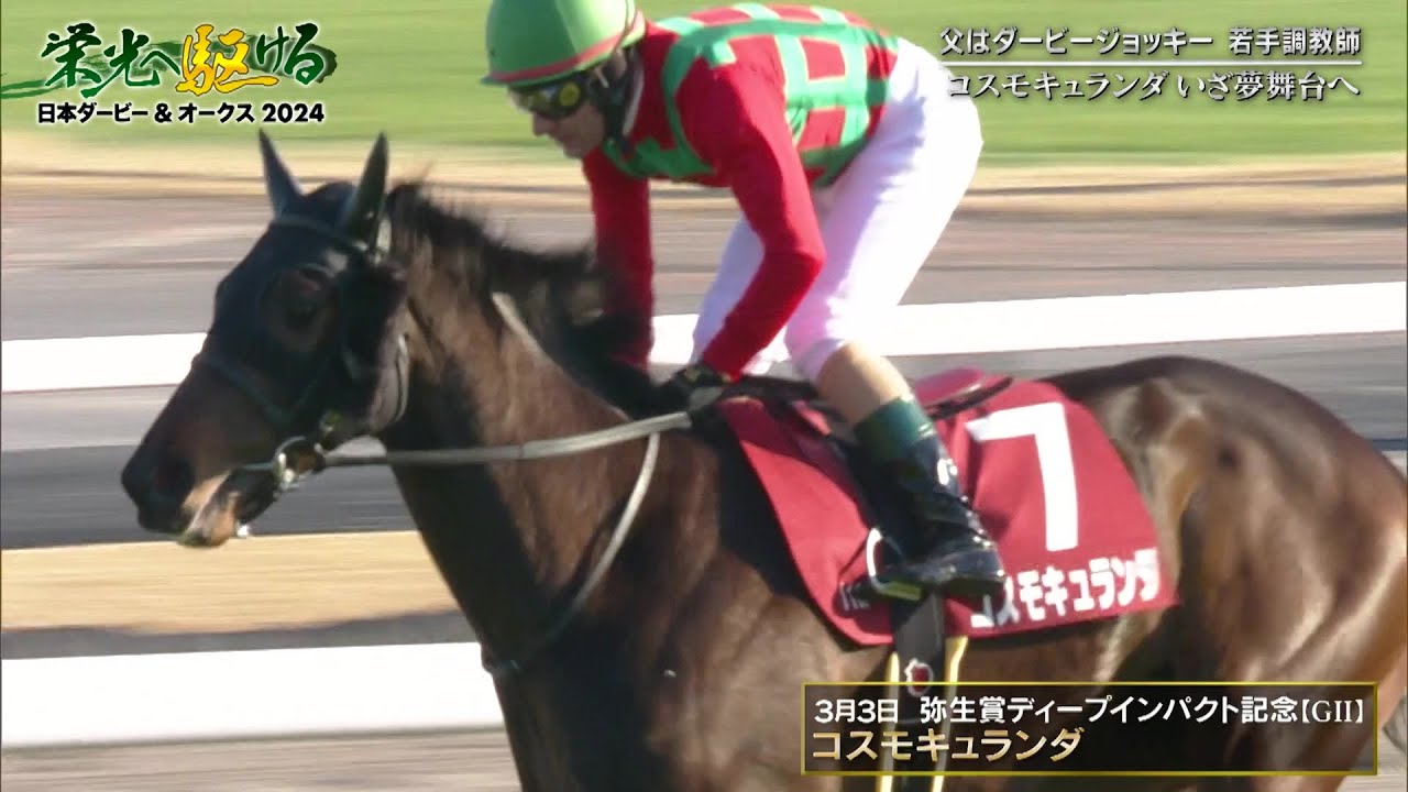 【加藤士津八調教師】父が見たダービーの景色をコスモキュランダとともに目指す｜栄光へ駆ける 日本ダービー＆オークス2024