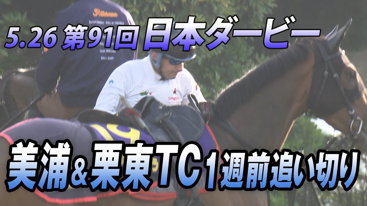 【5.26 競馬の祭典】第91回日本ダービー 美浦＆栗東トレーニングセンター1週前追い切り