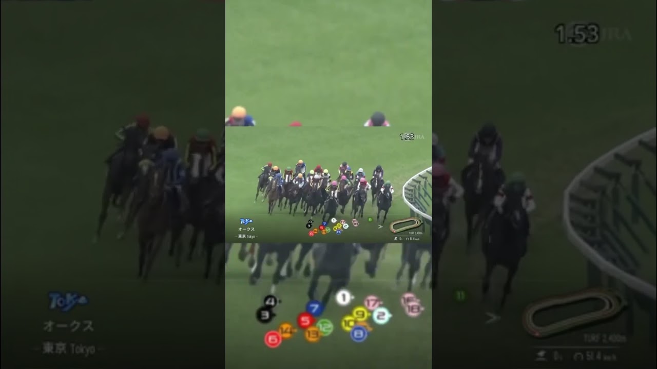 【祝チェルヴィニア】優駿牝馬(オークス)2024 結果発表 #優駿牝馬 #オークス #チェルヴィニア #ルメール