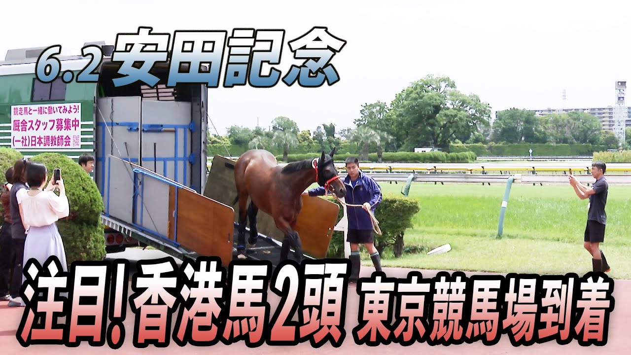 【安田記念】香港馬ロマンチックウォリアー＆ヴォイッジバブルが東京競馬場に到着！