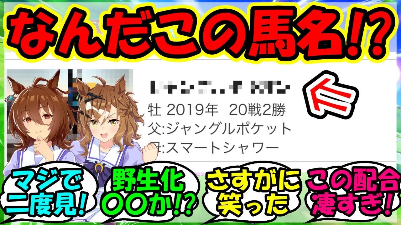 『ジャングルポケット産駒からとんでもない名前の競走馬が見つかりSNSで反響を呼ぶ！』に対するみんなの反応集 まとめ 速報 新時代の扉 【ウマ娘プリティーダービー】【かえで】