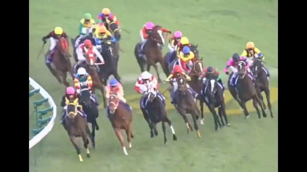 ラインクラフト 2004年 第56回阪神ジュベナイルフィリーズ(GI)  (優勝馬：ショウナンパントル) (実況：ラジオNIKKEI)