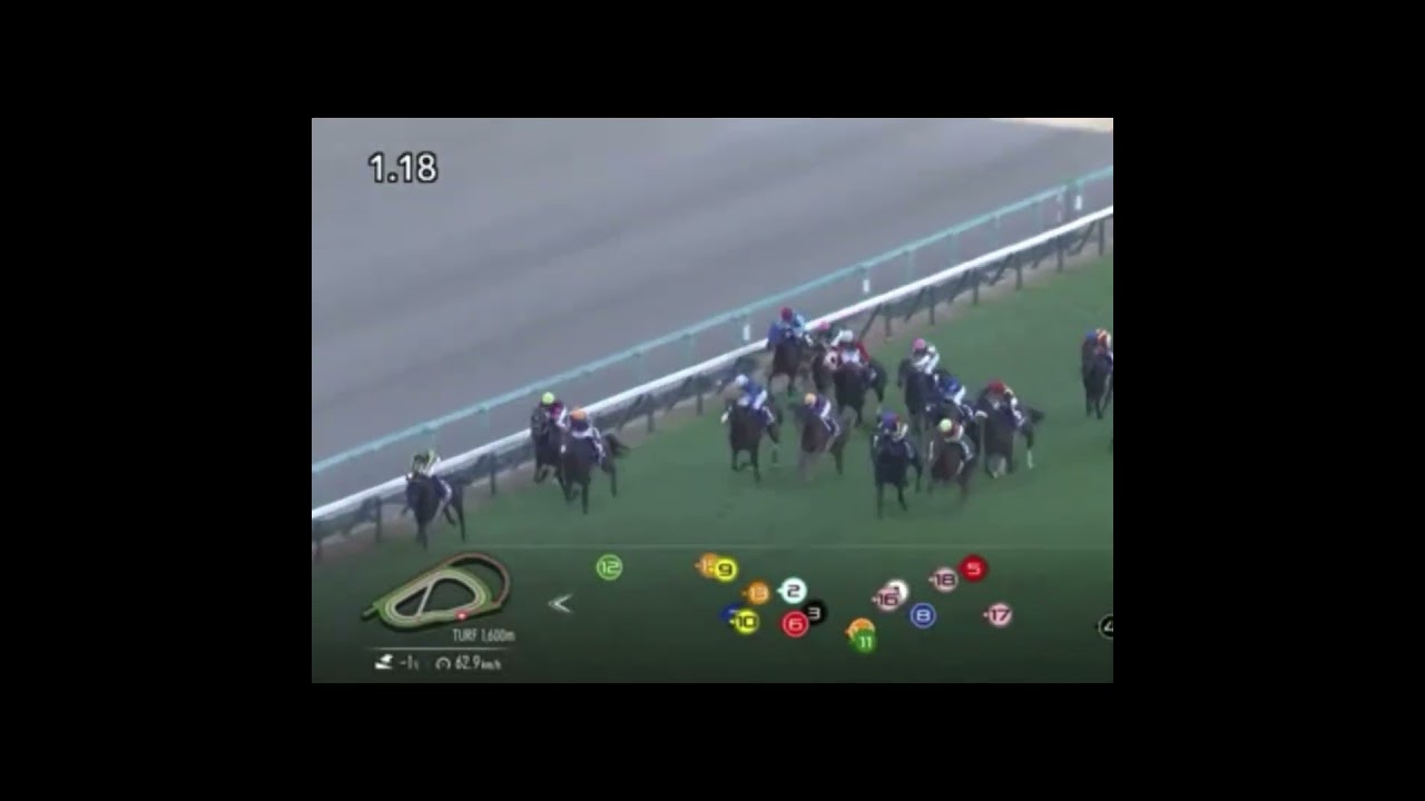 オークス参考動画　ステレンボッシュ　阪神JF 最後の直線