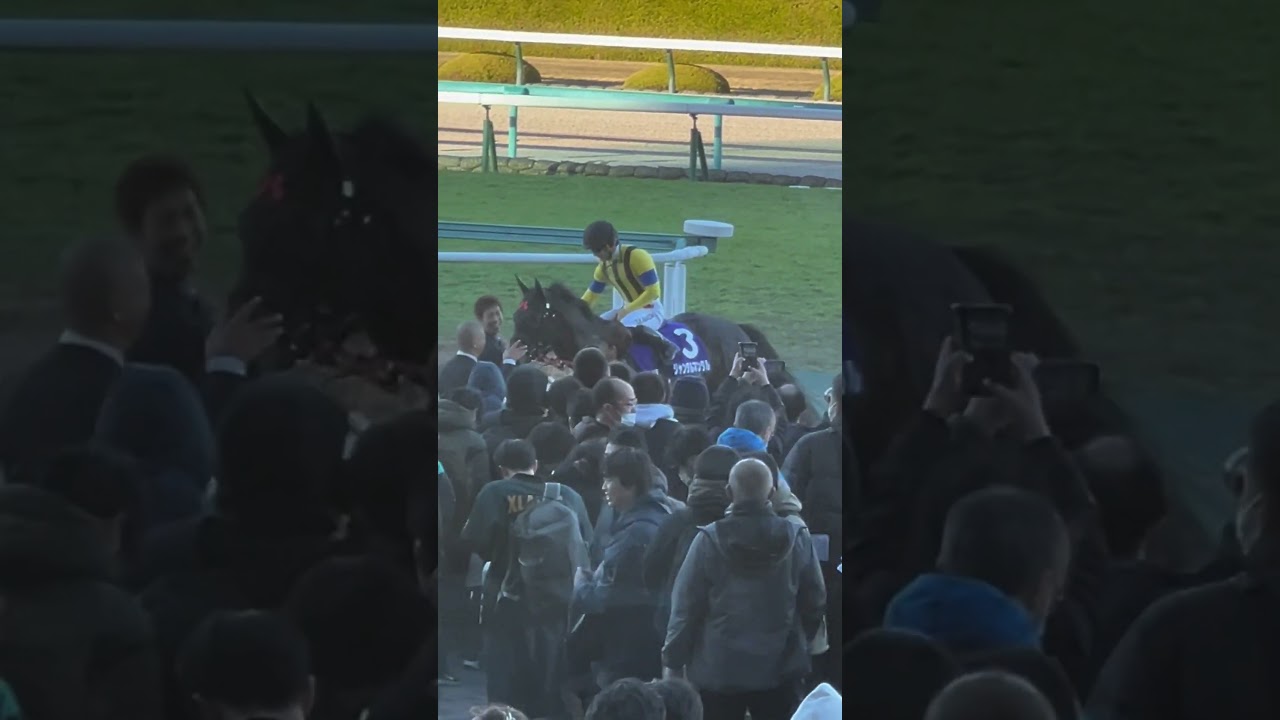 2023年12月17日 朝日杯フューチュリティステークス 勝利の帰還ジャンタルマンタル🐴