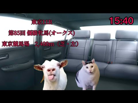 優駿牝馬(オークス)の振り返り　[猫ミーム]