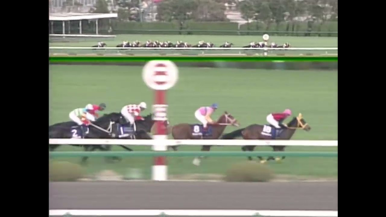 ラインクラフト 2004年 第56回阪神ジュベナイルフィリーズ(GI)  (優勝馬：ショウナンパントル)