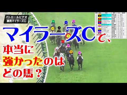 マイラーズC2024をパトロールビデオで振り返ったら、安田記念2024が見えてきた！