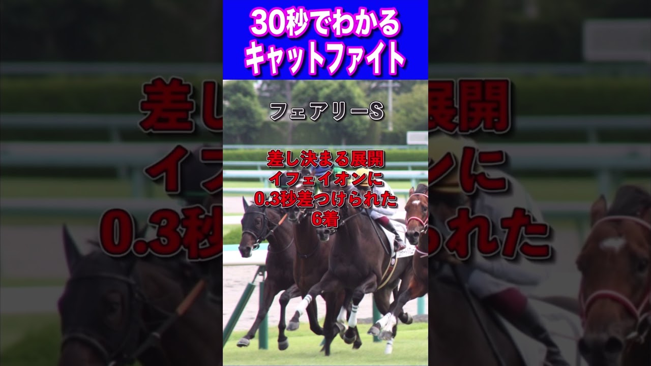 【桜花賞2024】30秒でわかるキャットファイト