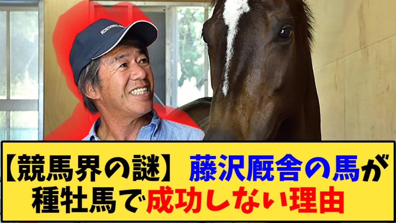 【競馬】｢【競馬界の謎】藤沢厩舎の馬が種牡馬で成功しない理由」に対する反応【反応集】