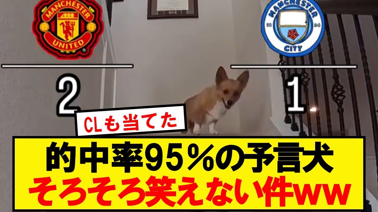 【的中】SNSで話題のイッヌ、FAカップ決勝すらも予言を当てるwwwwwwww