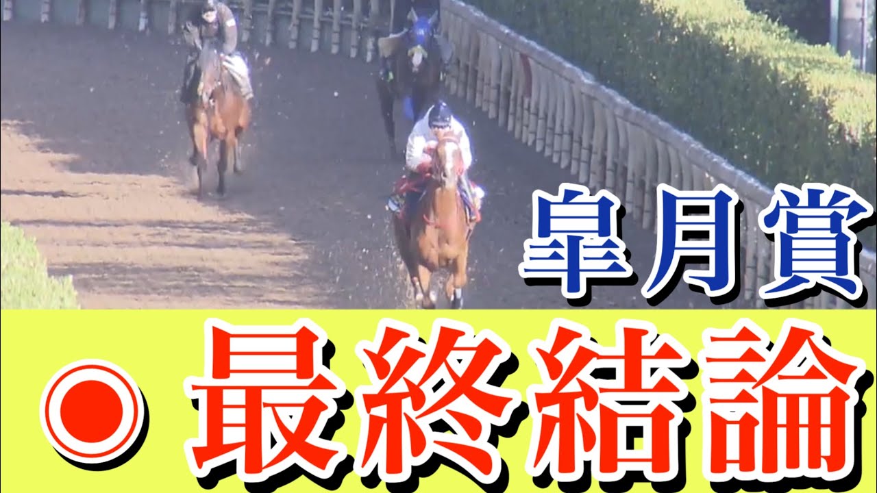 皐月賞2024 |確定