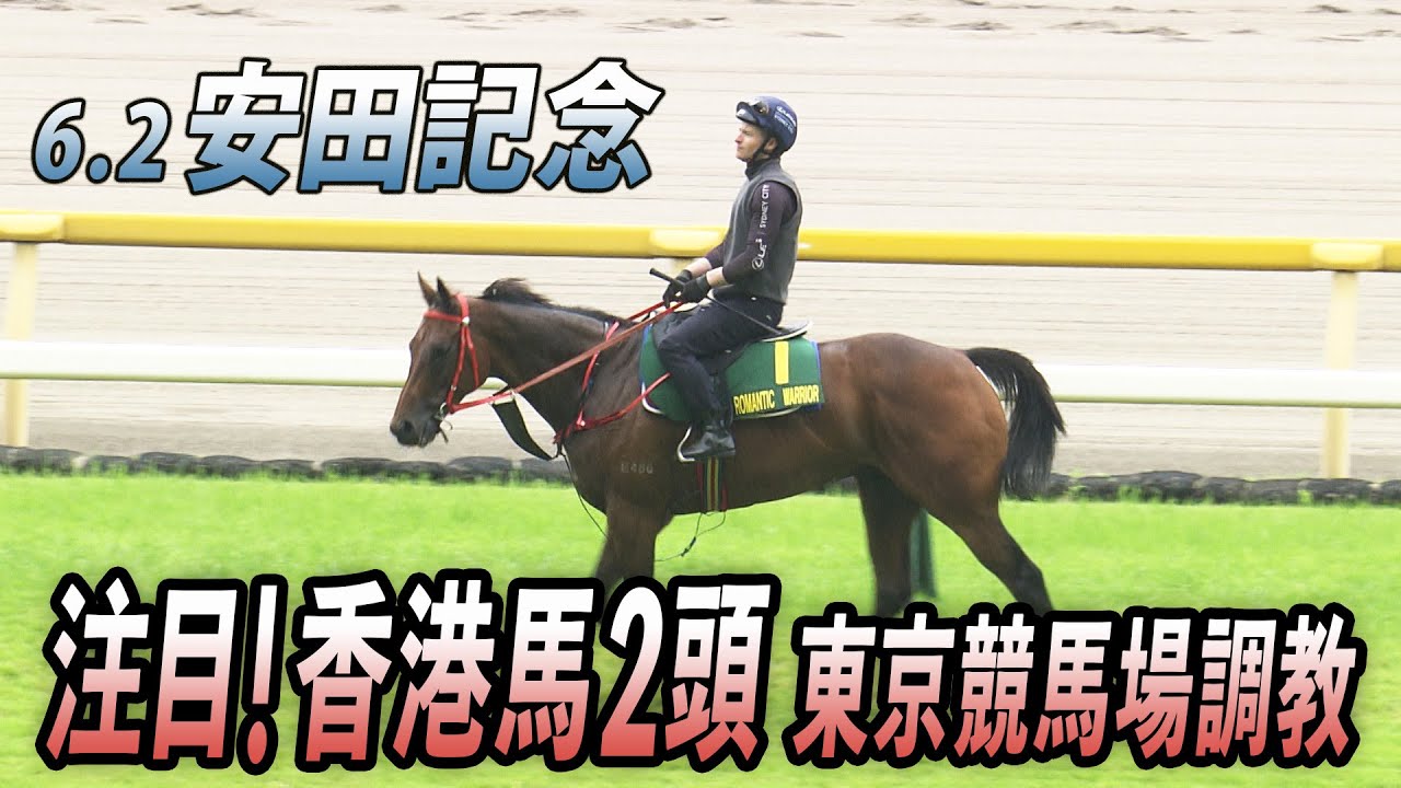 【安田記念】香港馬ロマンチックウォリアー＆ヴォイッジバブル調教＠東京競馬場