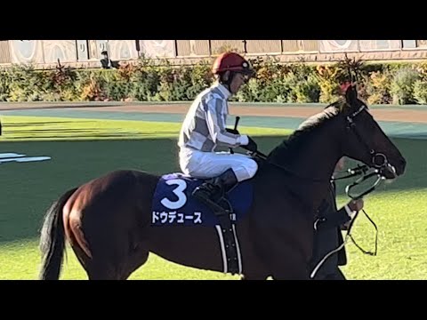 戸崎圭太にエールを送るドウデュース推しin天皇賞・秋