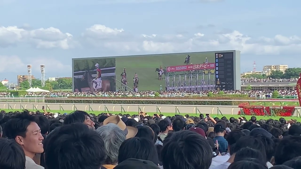 第91回　G1  東京優駿(日本ダービー)現地ターフビジョン(2024/05/26)