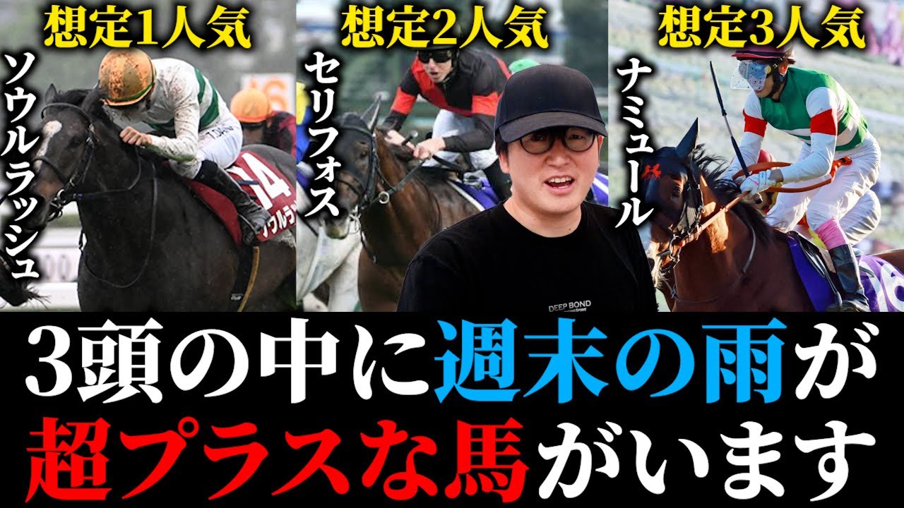 【安田記念2024】明暗がはっきり分かれるマイル日本代表を解説