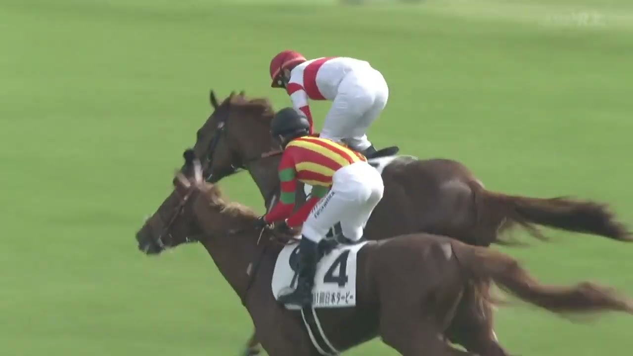 第91回日本ダービー  2024 ダノンデサイル ファンファーレ～ウイニングラン【高画質、高音質】