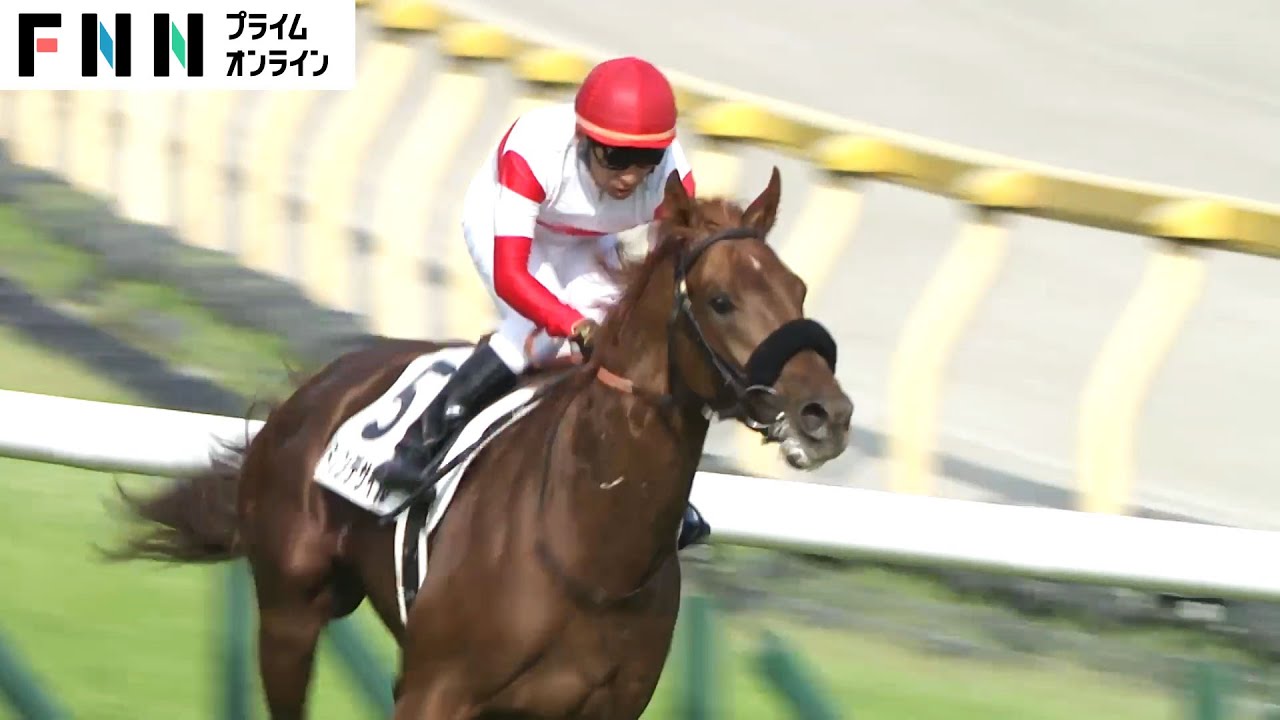 【日本ダービー・レース映像】横山典弘騎手（56）最年長ダービー制覇　大ベテランに導かれダノンデサイルが3歳世代の7906頭の頂点に